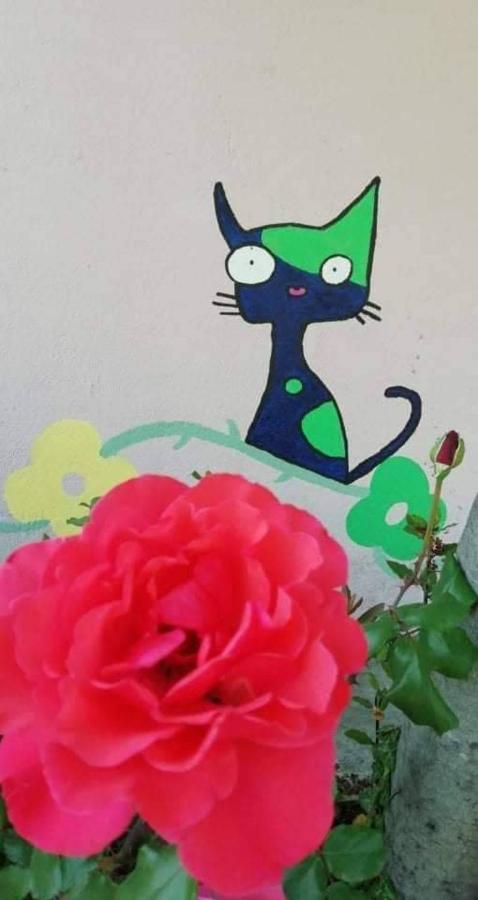 Meteora Garden Bed and Breakfast Καλαμπάκα Εξωτερικό φωτογραφία