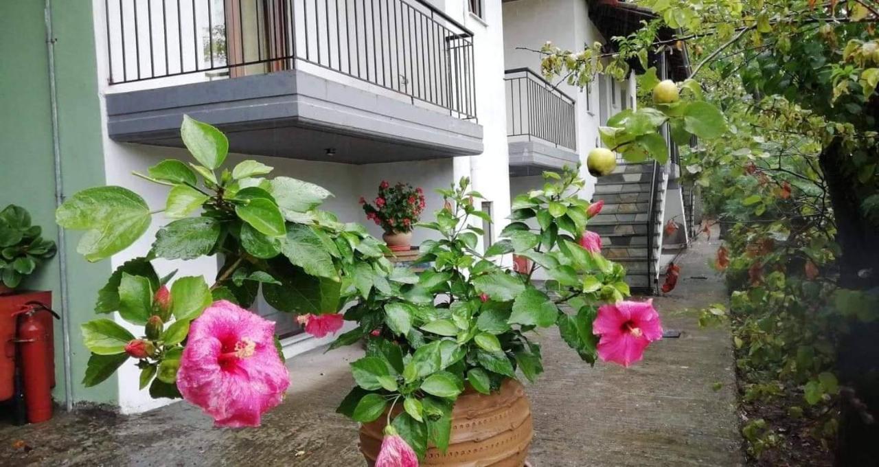 Meteora Garden Bed and Breakfast Καλαμπάκα Εξωτερικό φωτογραφία